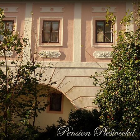 Pension Plesivecka 119 Cesky Krumlov Exterior photo