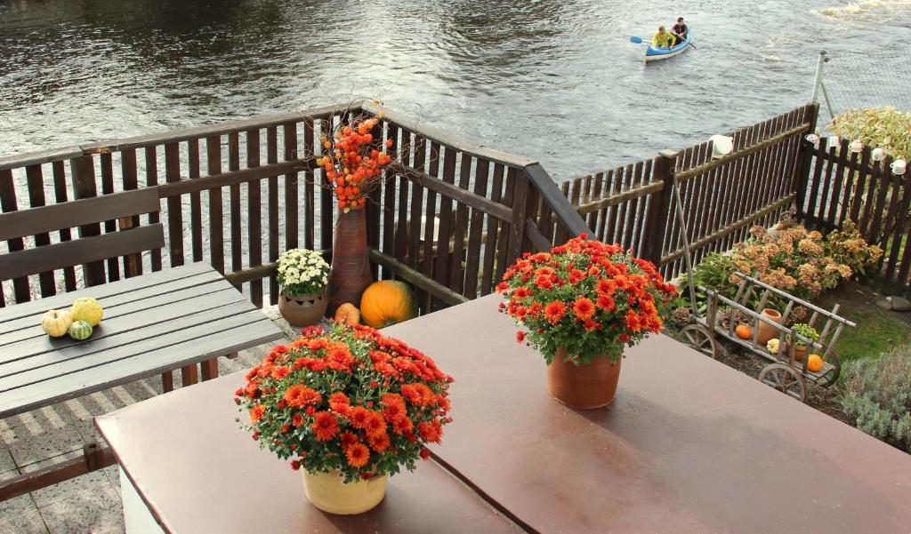 Pension Plesivecka 119 Cesky Krumlov Exterior photo
