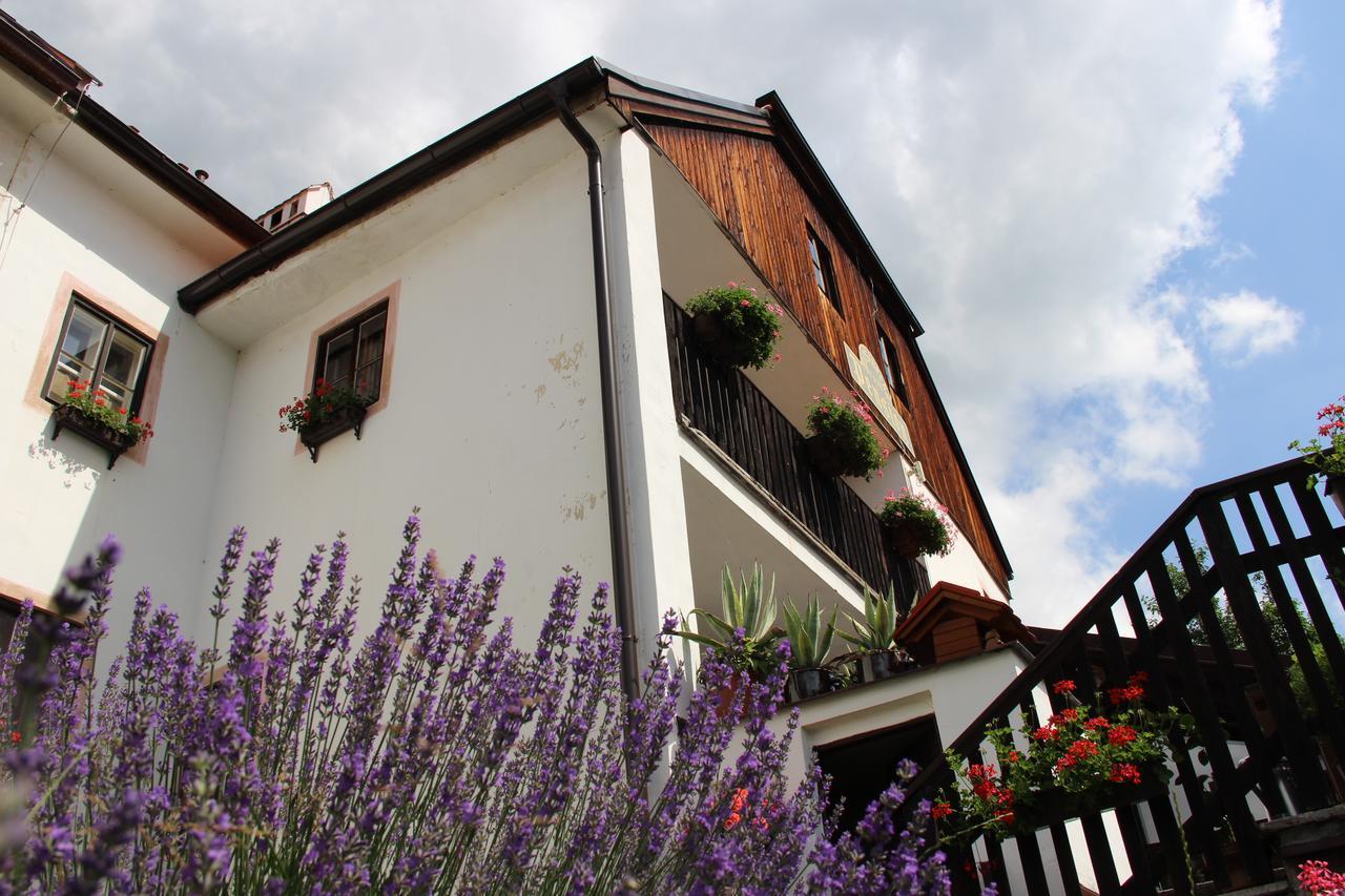 Pension Plesivecka 119 Cesky Krumlov Exterior photo