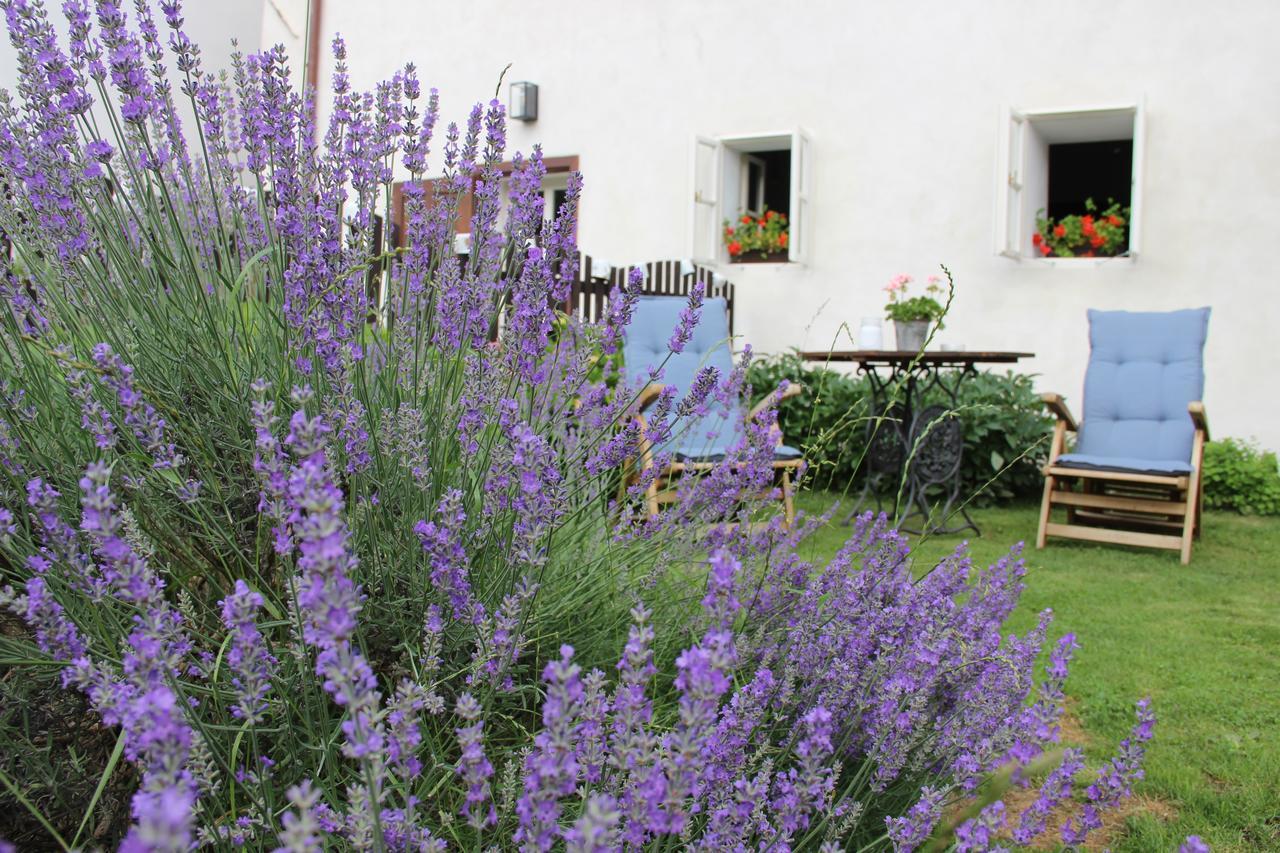 Pension Plesivecka 119 Cesky Krumlov Exterior photo